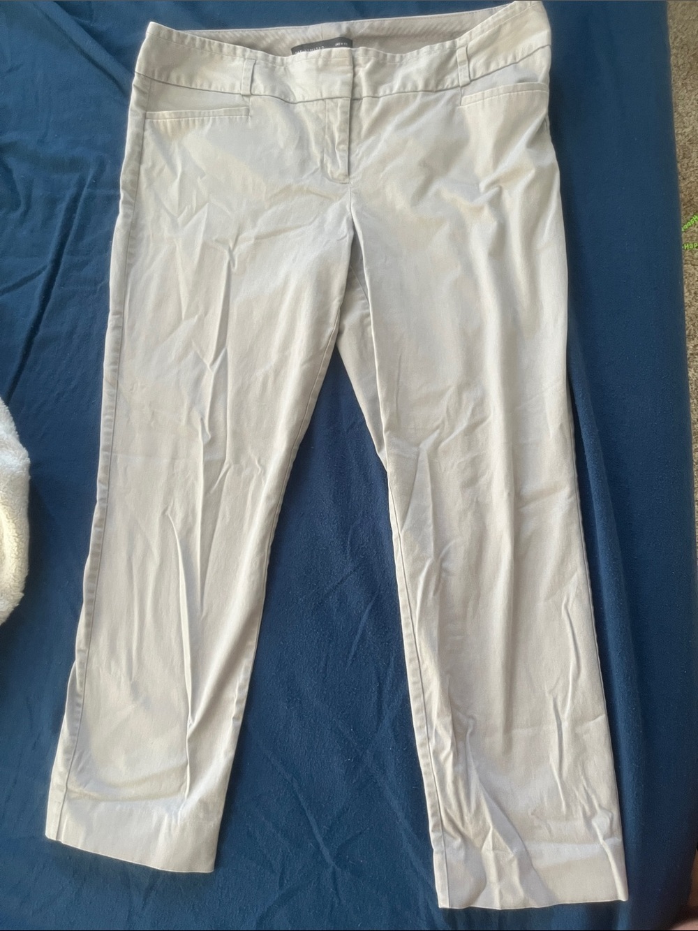 The Limited Women's Cropped Dress Pants in Light Beige